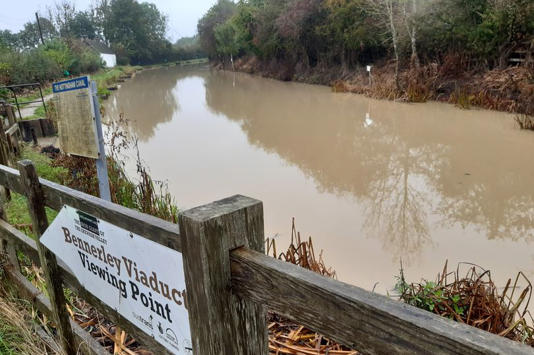 Investigation into Nottinghamshire canal pollution from new estate amid dying fish