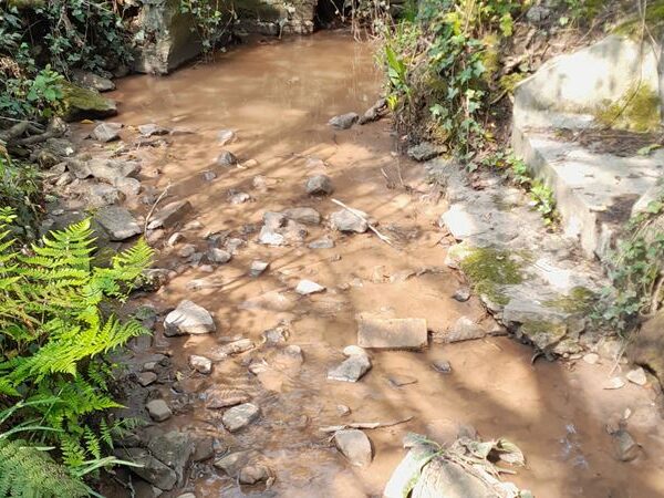 Construction company fined for polluting Cardiff stream