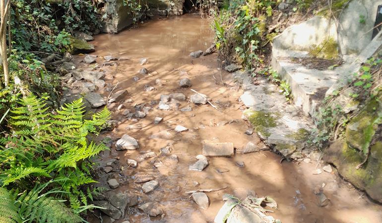 Construction company fined for polluting Cardiff stream