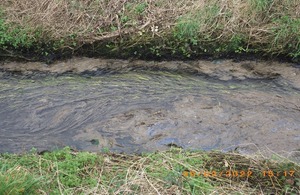 Somerset farm polluted stream after failing to make improvements