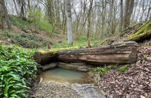40 projects to benefit from £25 million funding for natural flood management