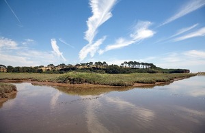 Vital new wetland habitat protected with announcement of a new King’s National Nature Reserve